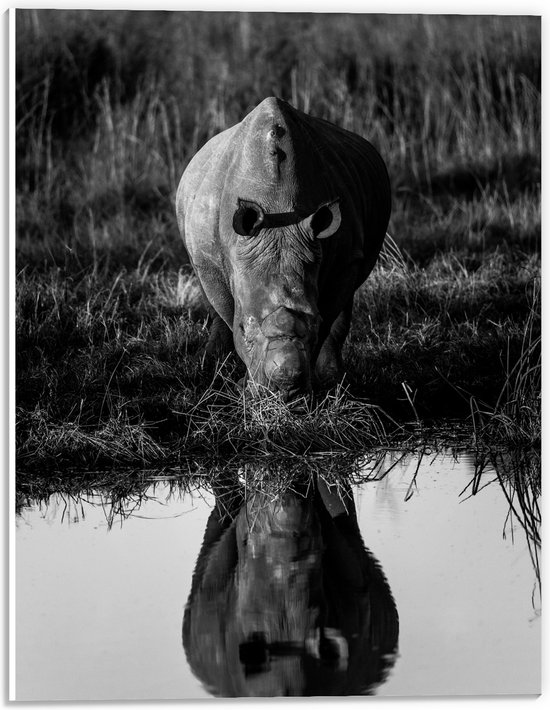 PVC Schuimplaat - Vooraanzicht van Neushoorn drinkend uit Meer met Weerspiegeling (Zwart- wit) - 30x40 cm Foto op PVC Schuimplaat (Met Ophangsysteem)