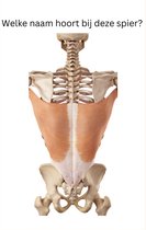JDN Education Care Leerkaarten Anatomie Spieren