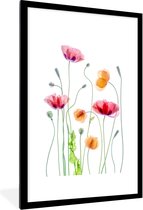 Posters nature - Fleurs - Coquelicot - Wit - Affiche avec cadre - Affiche murale - Décoration murale - 80x120 cm
