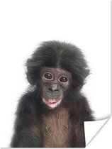 Poster Aap - Dieren - Natuur - Chimpansee - 60x80 cm