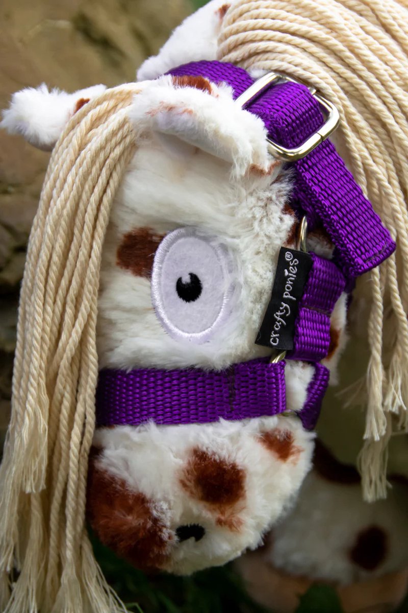 Crafty Ponies Halster Paars