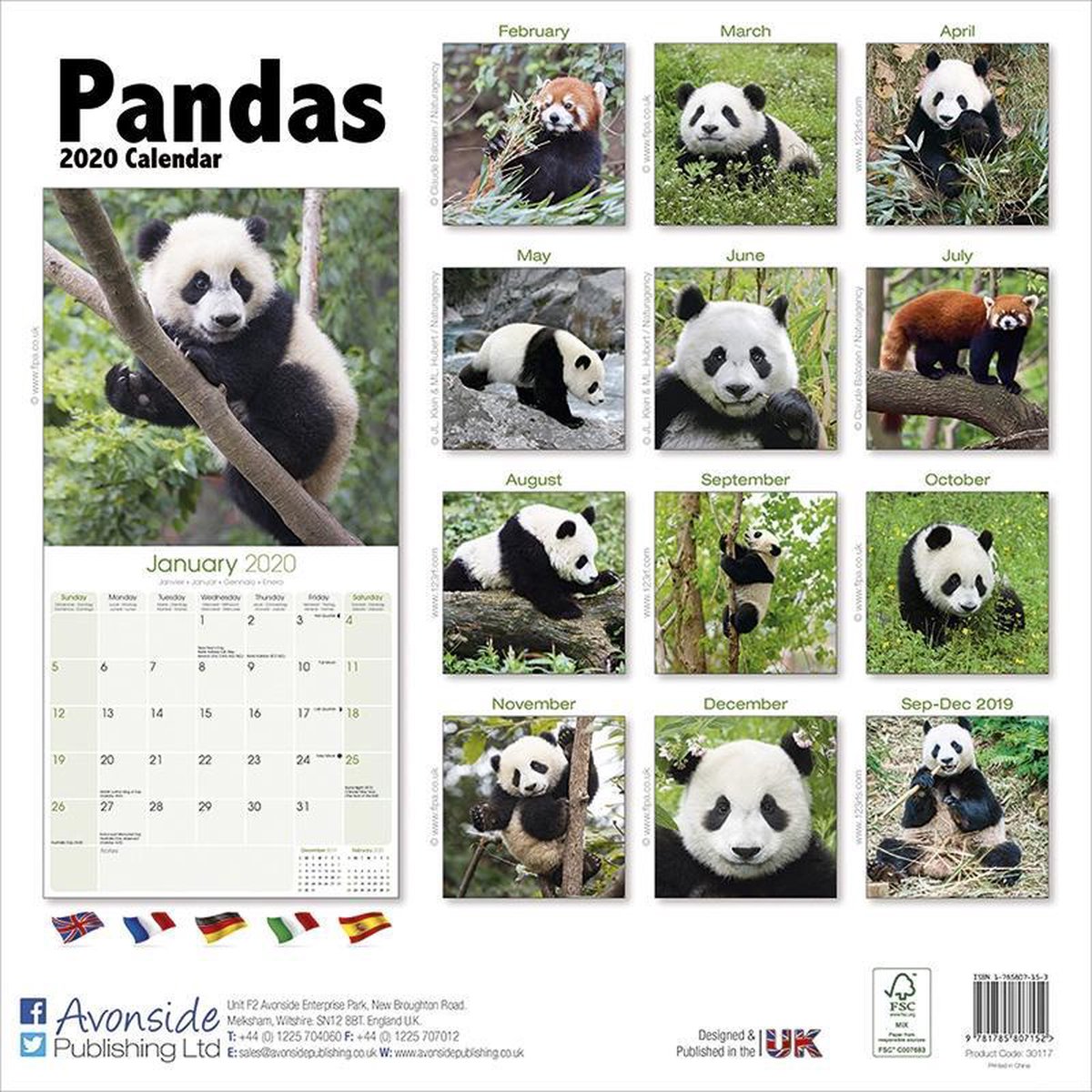 Panda Kalender 2020