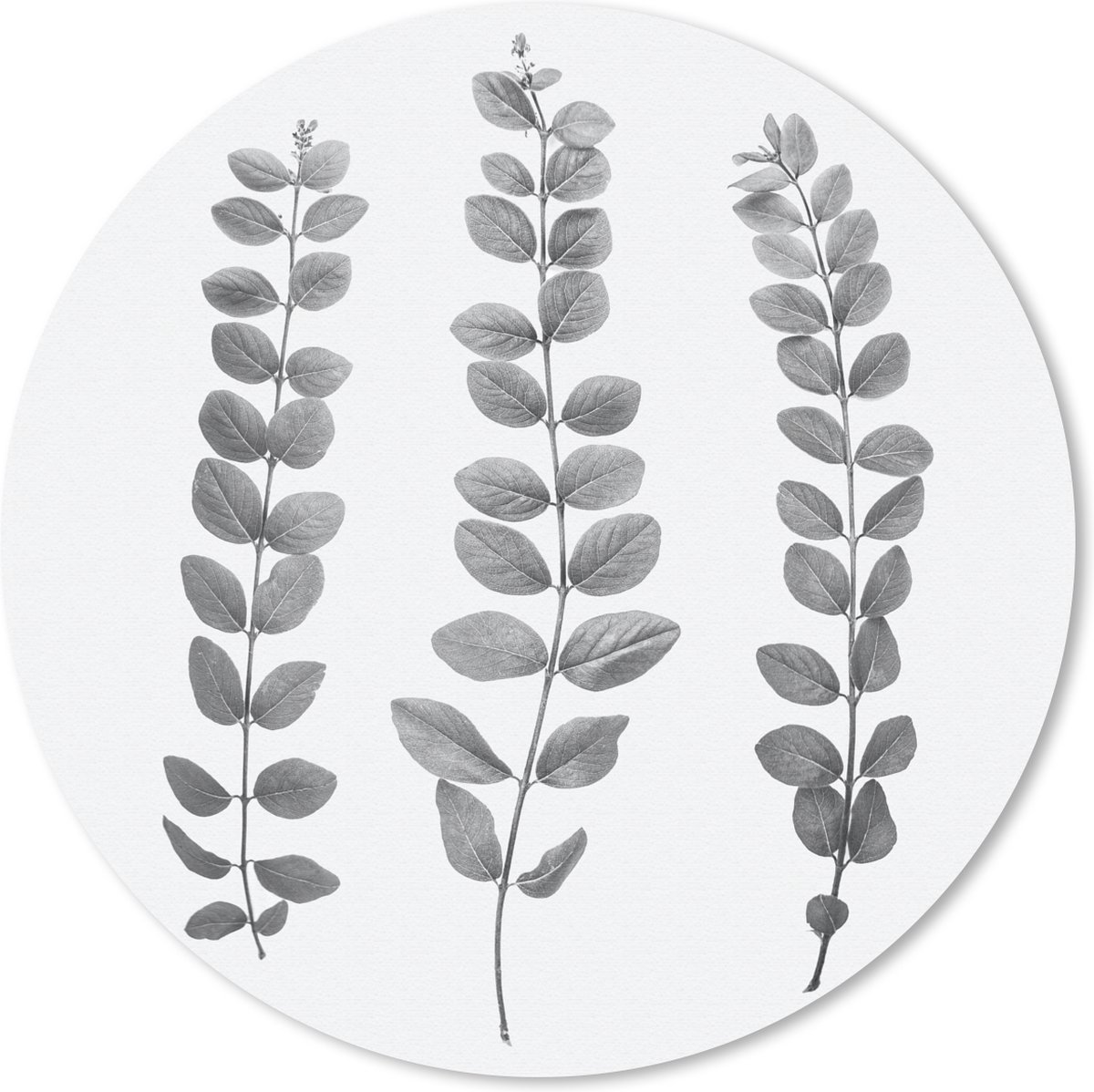 Muismat rond 20x20 cm - Mousepad Planten - Bladeren - Natuur - Wit - Ronde muismatten