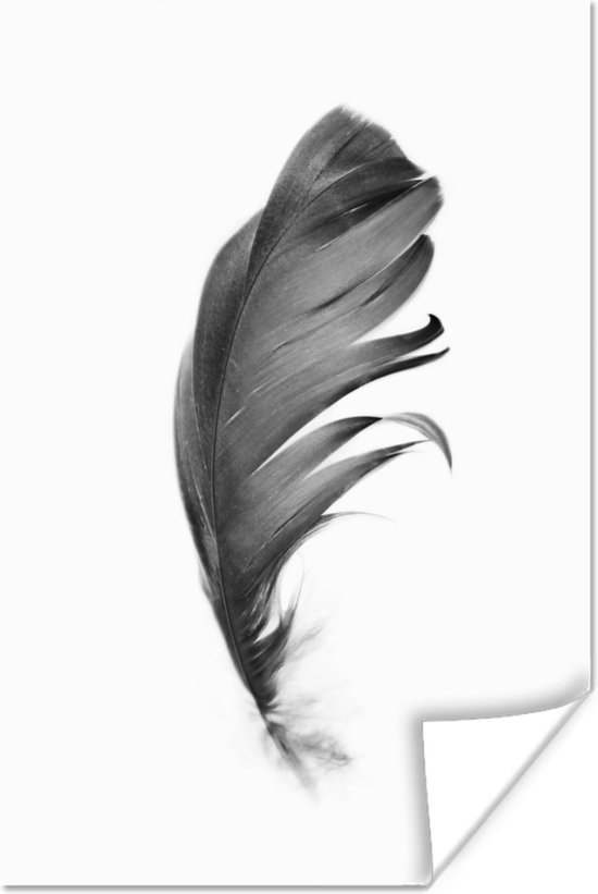 Poster Plume - Zwart - Wit - Nature - 40x60 cm