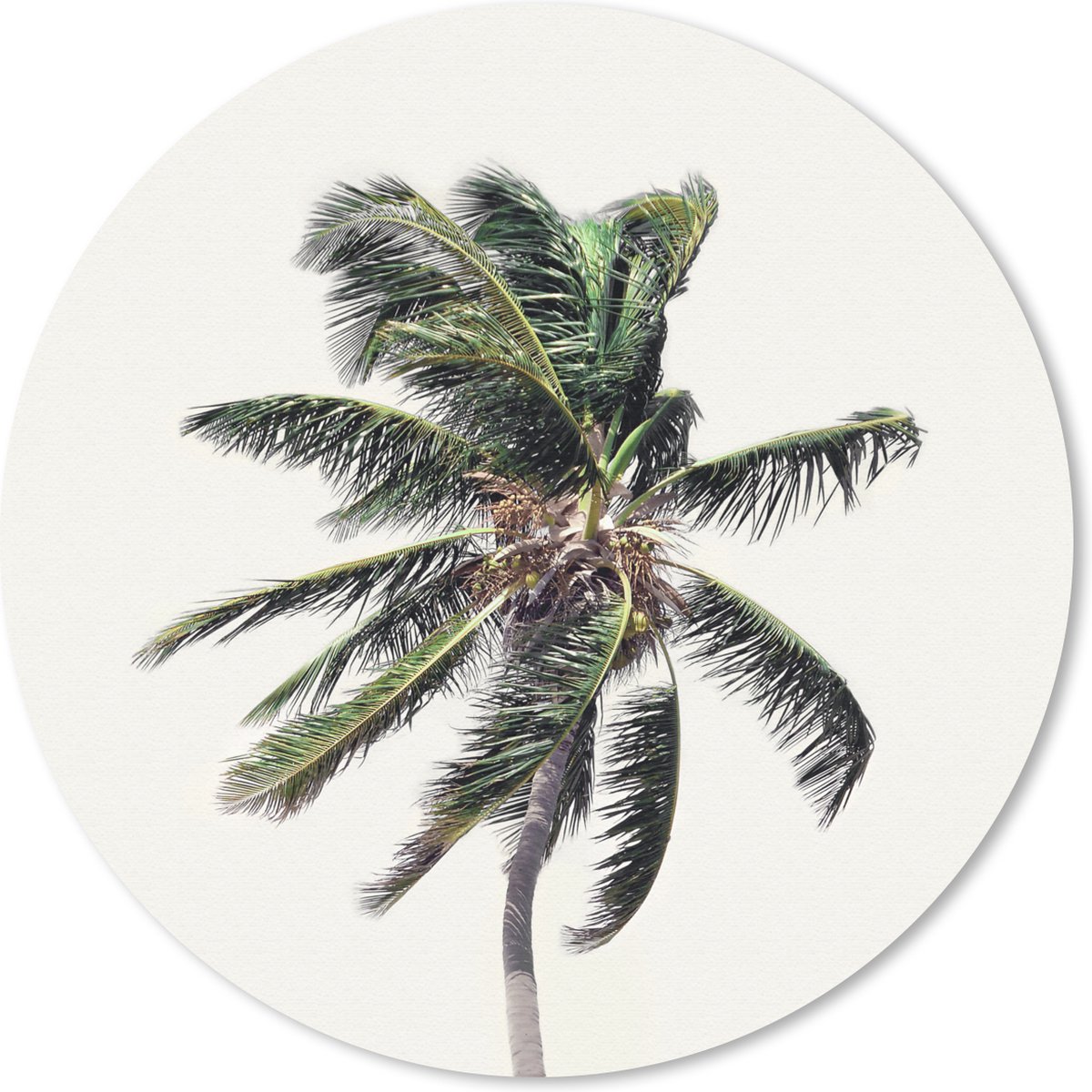 Muismat rond 20x20 cm - Mousepad Palmboom - Groen - Natuur - Bladeren - Ronde muismatten