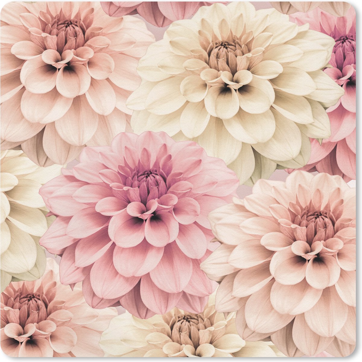 Muismat 20x20 cm - Mousepad Bloemen - Roze - Wit - Natuur - Muismatten