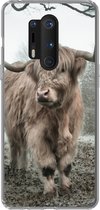 Geschikt voor OnePlus 8 Pro hoesje - Schotse hooglander - Natuur - Herfst - Dieren - Wild - Bos - Siliconen Telefoonhoesje