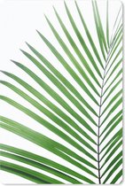 Muismat - Mousepad - Plant - Groen - Natuur - Wit - 40x60 cm - Muismatten