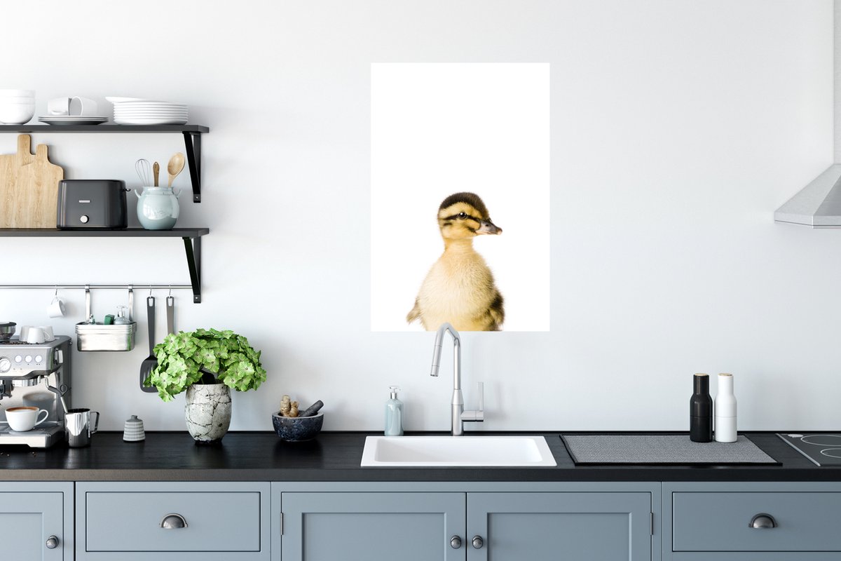 Poster Eend - Geel - Dieren - Natuur - 60x90 cm