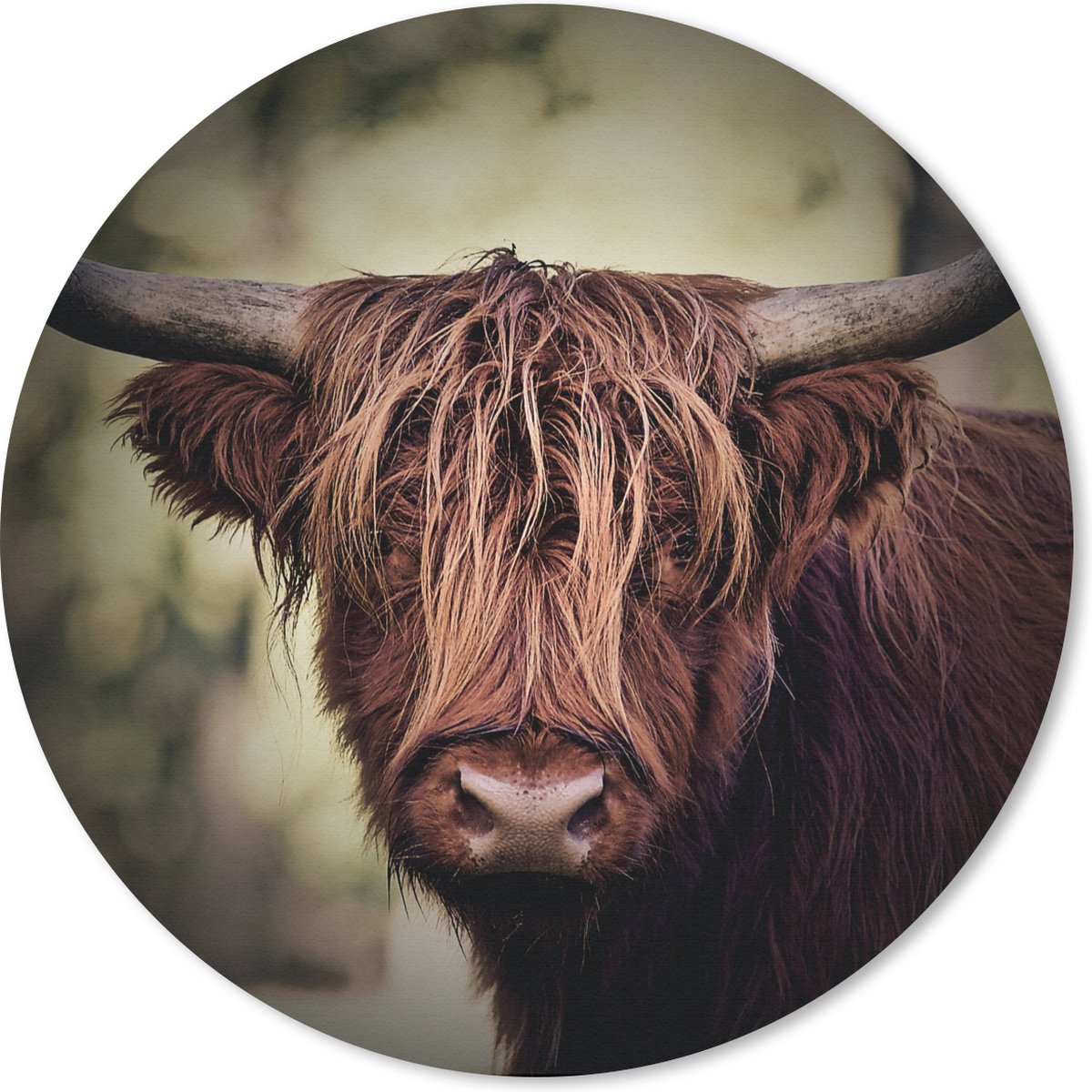 Muismat rond 30x30 cm - Mousepad Schotse hooglander - Licht - Portret - Natuur - Ronde muismatten