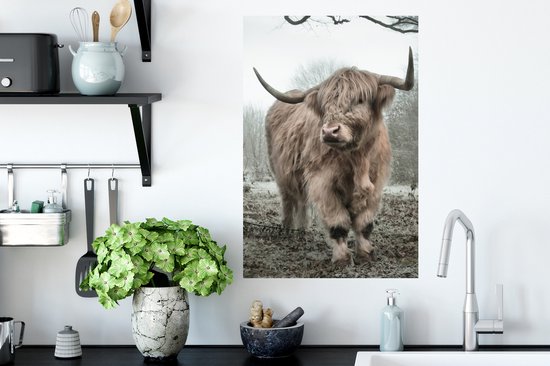 Stickers muraux - Film autocollant - Highlander écossais - Forêt - Brouillard - Vache - Animaux - Nature - 40x60 cm - Film adhésif - Stickers muraux Chambre d'enfant - Papier peint autocollant