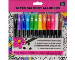 12 heldere permanent markers