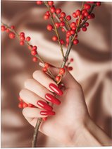 Vlag - Tak met Rode Bessen in Vrouwelijke Hand met Lange Rode Nagels - 30x40 cm Foto op Polyester Vlag