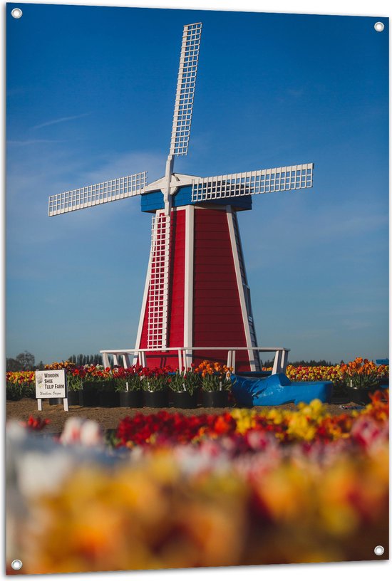 Tuinposter – Rode Windmolen in een Tulpenveld - 80x120 cm Foto op Tuinposter (wanddecoratie voor buiten en binnen)