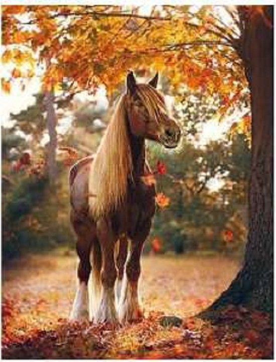 Diamond painting de luxe 40x50cm - Paard onder de bomen