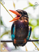 Tuinposter – Kleurrijke IJsvogel met Open Snavel Zittend op Smalle Tak - 30x40 cm Foto op Tuinposter (wanddecoratie voor buiten en binnen)