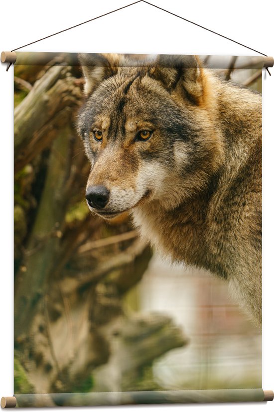 Textielposter - Liggende Wolf tussen Takken en Bladeren - 60x80 cm Foto op Textiel