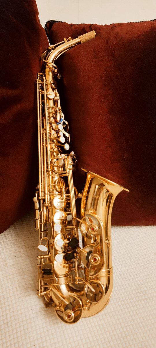 Knobbout Music United AltSaxofoon Goud Volledig Pakket