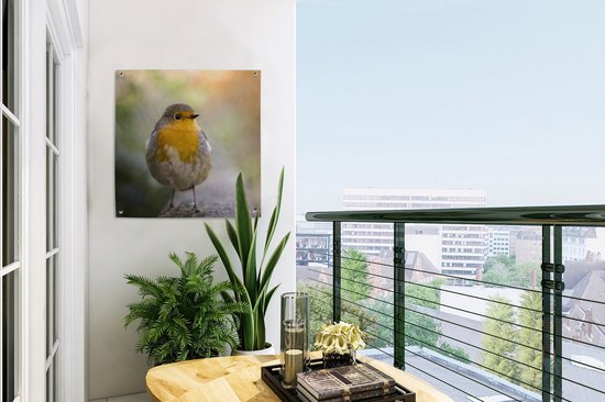 Tuinposter vogels - Roodborstje - Portret - Natuur - Tak - Tuindecoratie - Schuttingdoek - Schutting decoratie - Tuin - Tuinschilderij voor buiten - 50x50 cm - Tuindoek - Tuinposters buiten