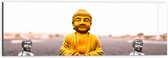 Dibond - Gouden en Zilveren Miniatuur Buddha_s op Asfalt weg - 60x20 cm Foto op Aluminium (Met Ophangsysteem)