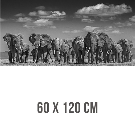 Allernieuwste.nl® Tableau sur toile Troupeau d'éléphants dans la plaine - Éléphant d'Afrique - Zwart Wit - 60 x 120 cm