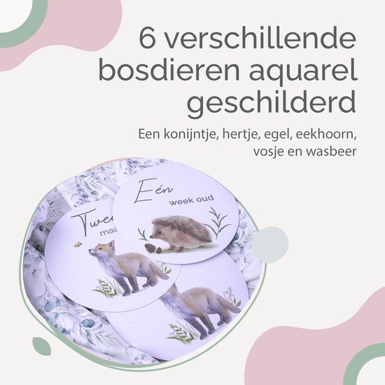 Rose & Ollie Mijlpaalkaarten baby - Bosdieren - babyshower - kraamcadeau van Rose & Ollie — afbeelding 3