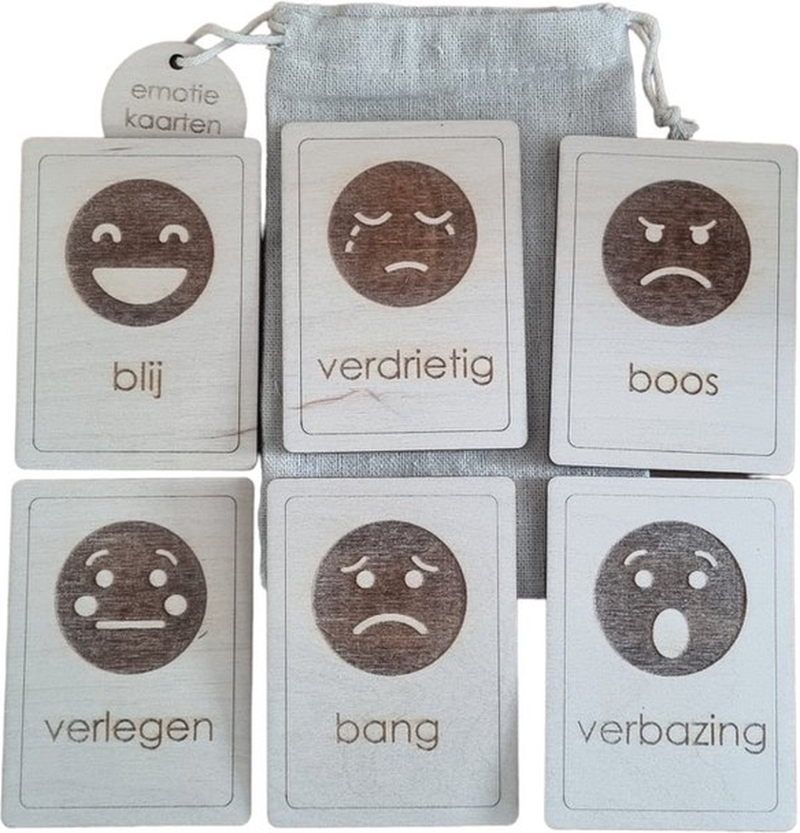 Gezondheidspsychologie voor de fysiotherapeut (Dutch Edition): 9789031381203
