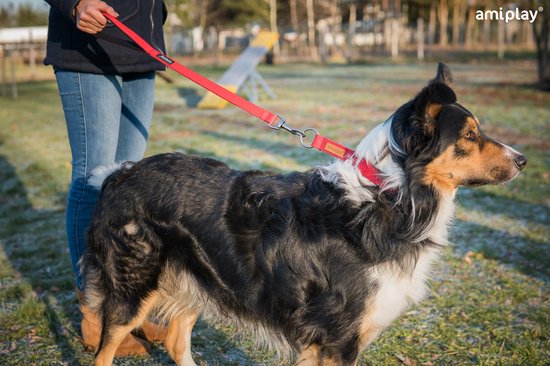 Amiplay Laisse Cotton noir taille- S / 140x1.5cm