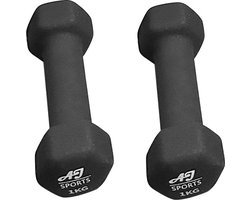 AJ-Sports Dumbells 1 kg - 2 x 1 kg dumbell - Gewichten - Dumbells set - Gewichten set - Halterset - Fitness gewichten - Krachttraining - Fitness