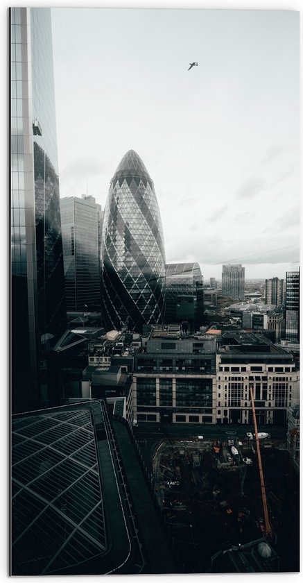 Dibond - Uitzicht van een Stad - Verenigd Koninkrijk - 50x100 cm Foto op Aluminium (Wanddecoratie van metaal)