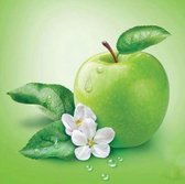 Diamond Painting Groene appel 20x20cm. (Volledige bedekking - Vierkante steentjes) diamondpainting inclusief tools