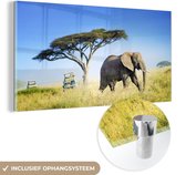 Éléphant dans la savanne du parc national du Serengeti en Tanzanie Plexiglas 160x80 cm - Tirage photo sur Glas (décoration murale en plexiglas)