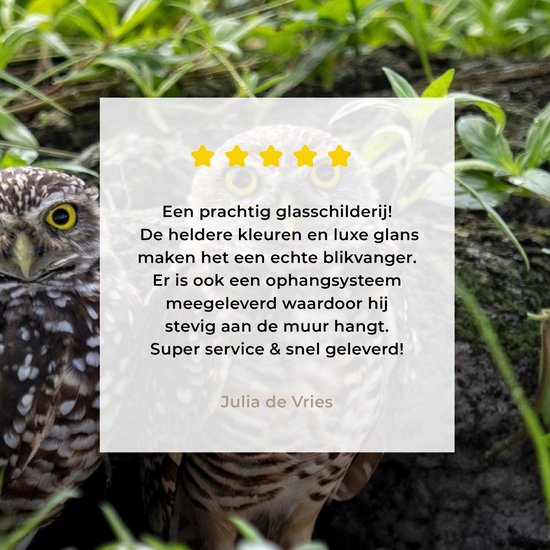 MuchoWow® Peinture sur verre 80x60 cm - Peinture sur verre acrylique - Deux chevêches des terriers devant leur tanière - Photo sur verre - Peintures