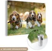 MuchoWow® Glasschilderij 120x80 cm - Schilderij acrylglas - Puppy's rennen door het gras - Foto op glas - Schilderijen