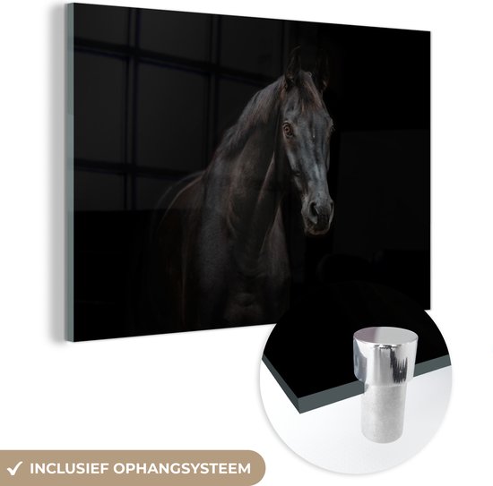 MuchoWow® Glasschilderij - Paard - Boerderijdier - Zwart - Acrylglas Schilderijen - Foto op Glas