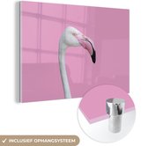 MuchoWow® Glasschilderij 120x80 cm - Schilderij acrylglas - portet witte flamingo - Foto op glas - Schilderijen