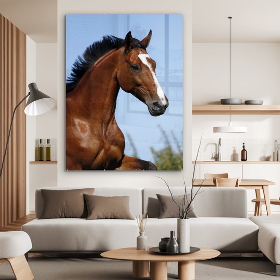 ® Glasschilderij 120x160 cm - Schilderij acrylglas - Paard - Natuur - Bruin - Foto op glas - Muurdecoratie woonkamer - Wanddecoratie slaapkamer - Schilderijen
