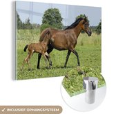 MuchoWow® Glasschilderij 120x80 cm - Schilderij glas - Paarden - Gras - Lente - Foto op acrylglas - Schilderijen