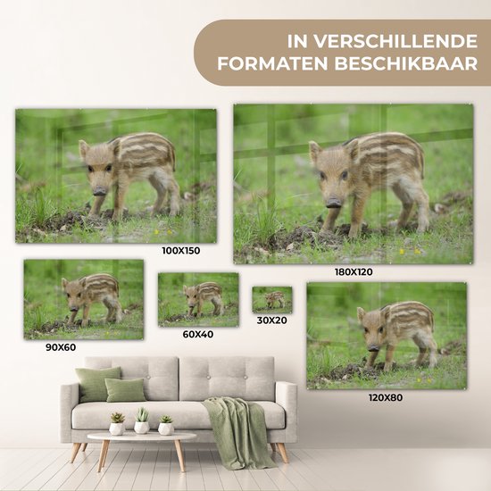 MuchoWow® Peinture sur verre - Sanglier dans l'herbe - 60x40 cm - Peintures sur verre acrylique - Photo sur Glas
