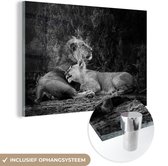 MuchoWow® Glasschilderij 120x80 cm - Schilderij acrylglas - Leeuwen - Zwart - Wilde dieren - Foto op glas - Schilderijen