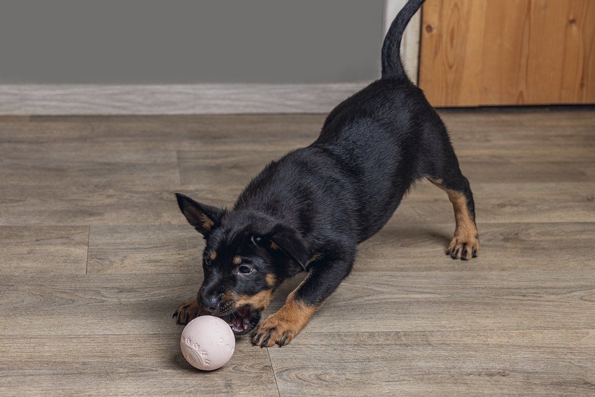 Beeztees Puppy Speelbal - Roze Trainingsspeeltje thumbnail 3