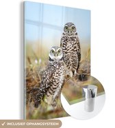 MuchoWow® Glasschilderij 30x40 cm - Schilderij acrylglas - Koppel holenuilen - Foto op glas - Schilderijen