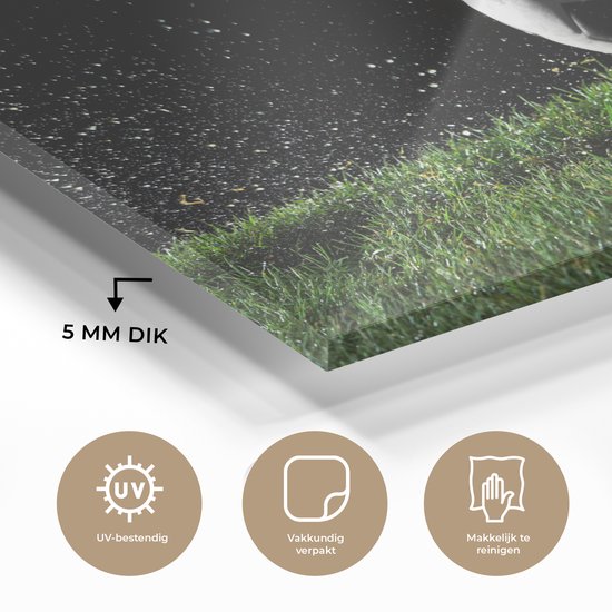 Peinture sur verre - Voetbal dans l'herbe - 120x80 cm - Peintures Plexiglas