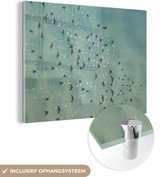 Peinture sur Verre - Vogel - Water - Animaux - 160x120 cm - Peintures sur Verre Peintures - Photo sur Glas