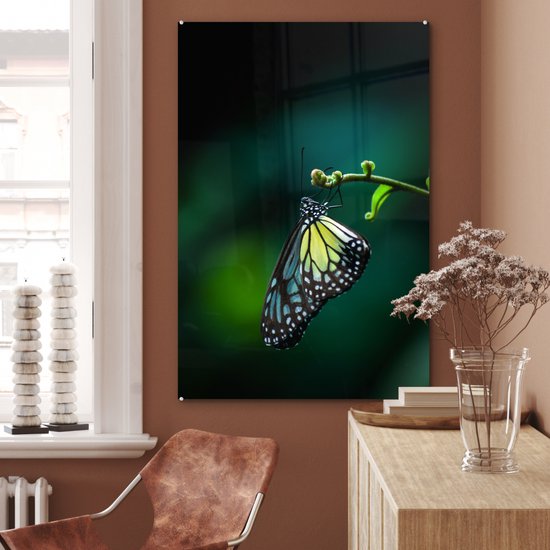 Peinture sur verre - Papillon sur une branche fine - 80x120 cm - Peintures sur verre acrylique - Photo sur Glas