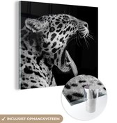 MuchoWow® Peinture sur Verre - Jaguar - Animal - Zwart - Wit - 90x90 cm - Peintures sur Verre Acrylique - Photo sur Glas