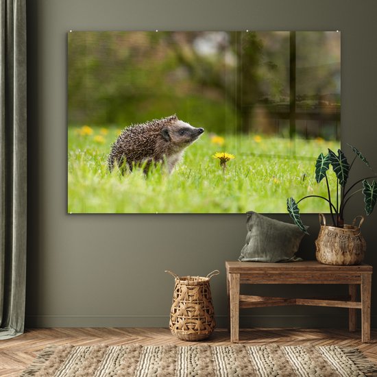 MuchoWow® Peinture sur verre 180x120 cm - Peinture acrylique sur verre - Hérisson - Bloem - Printemps - Photo sur verre - Peintures