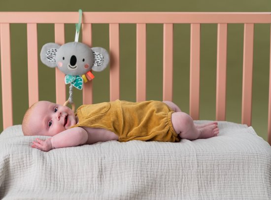 Taf Toys - Muzikaal hangspeeltje - Kimmy Musical Koala