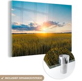 MuchoWow® Glasschilderij 60x40 cm - Schilderij acrylglas - Koolzaad veld tijdens zonsondergang - Foto op glas - Schilderijen