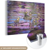 MuchoWow® Peinture sur verre - Canard - Water - Couleurs - 180x120 cm - Peintures sur verre acrylique - Photo sur Glas